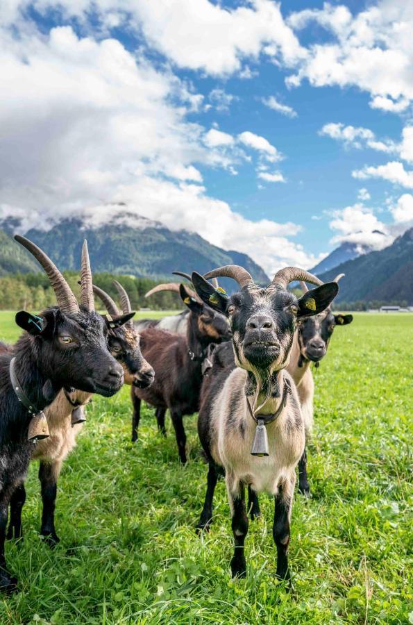 Honzarhof Leilighet Längenfeld Eksteriør bilde