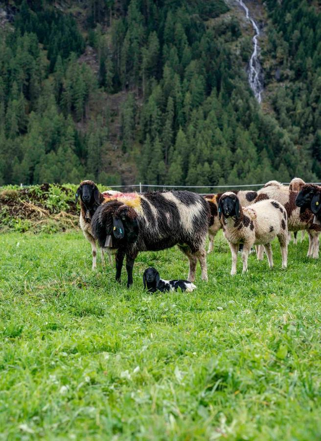 Honzarhof Leilighet Längenfeld Eksteriør bilde